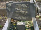 image of grave number 196446